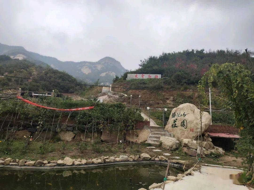家里有老人单独在家,有什么更好的照顾办法?-专业问答网站,提供精准解答